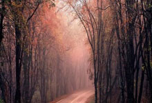 切沃主场击败那不勒斯，取得关键胜利