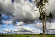 瑞士队客场逼平卢森堡队，保持不败战绩