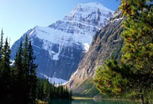 荷兰队在主场击败土耳其队，势如破竹