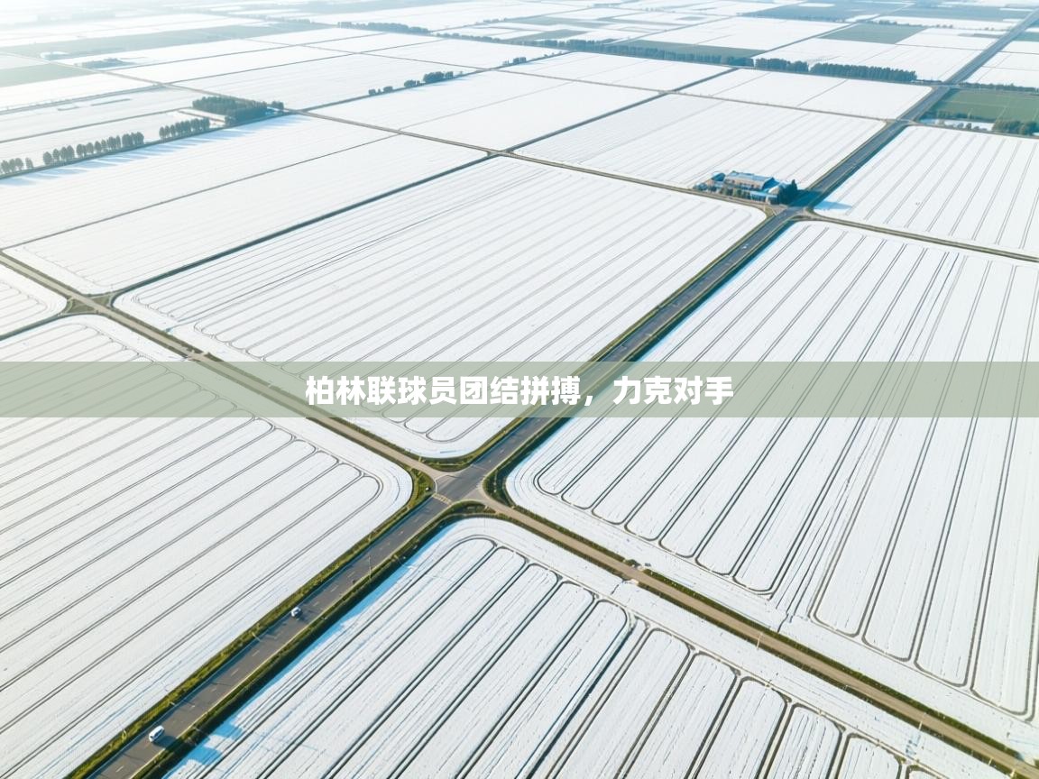 柏林联球员团结拼搏，力克对手  第1张