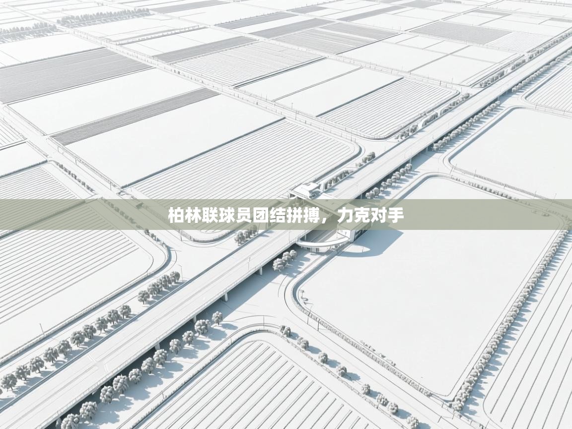 柏林联球员团结拼搏，力克对手  第2张